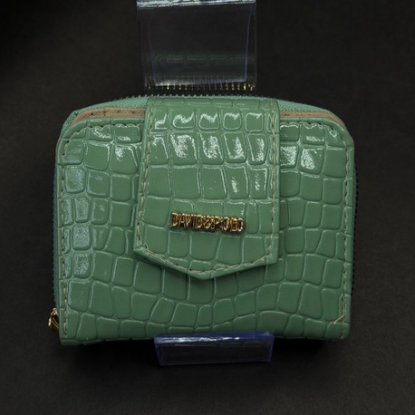 Mini Boy Yeşil Kroko Kadın Cüzdan